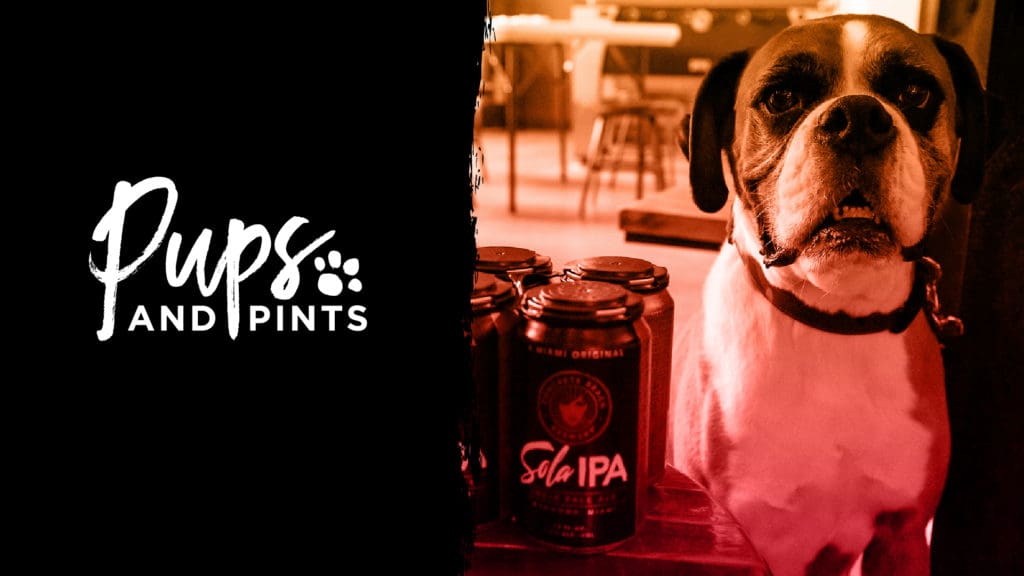 Pups and Pints at Concrete Beach