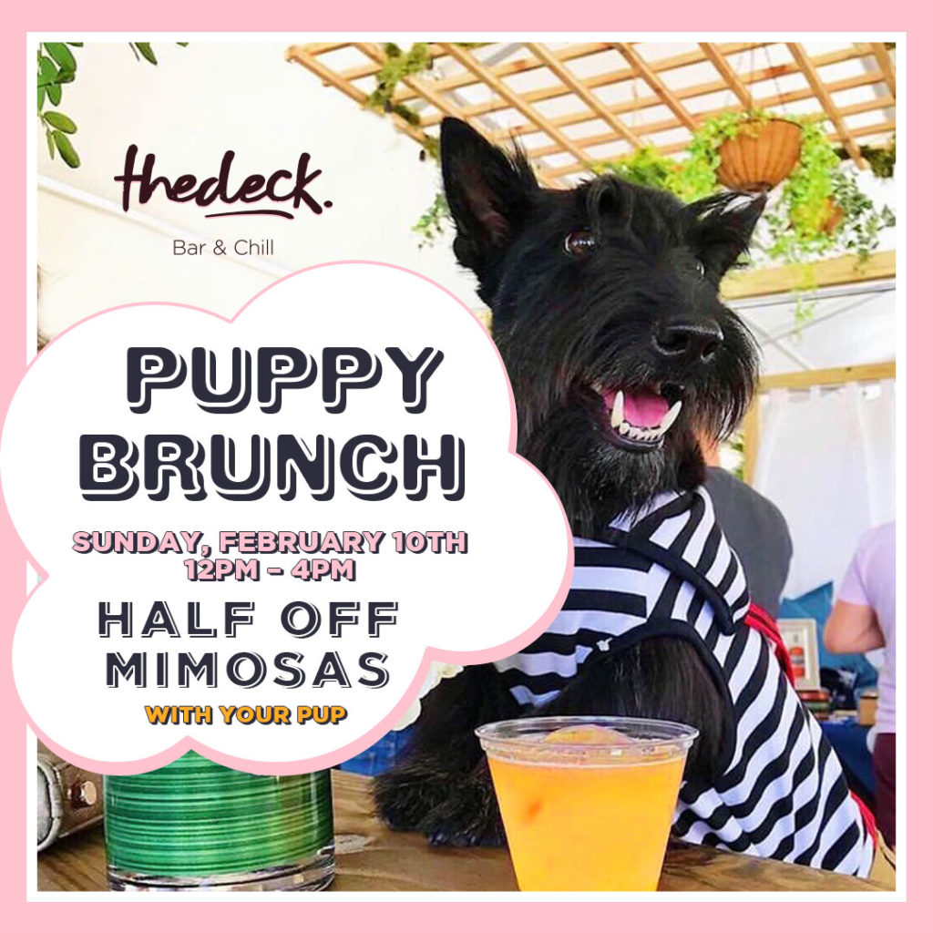 Puppy brunch at thedeck